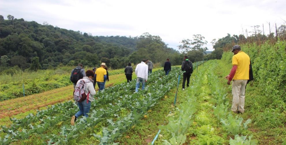 Welcoming in Parelheiros, Bel Santos Mayer