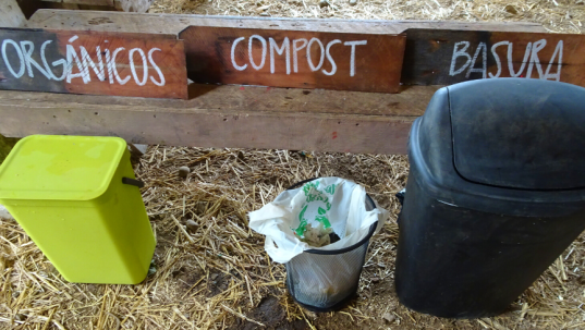 Amity Tours Recycling at a Picnic